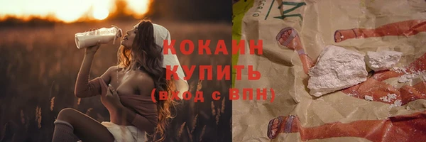 молекула духа Бронницы