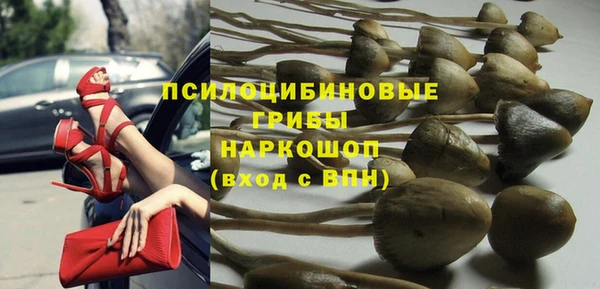 альфа пвп Бородино