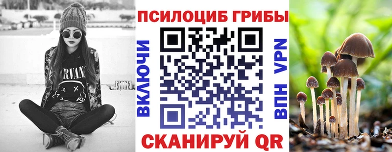 omg онион  Бугульма  Псилоцибиновые грибы Psilocybe  купить закладку 